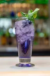 Grand Hotel & Conference Centre Calgary Airport, an Ascend Collection Hotel - bar