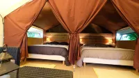 Domaine les Miquels - Bed and Breakfast