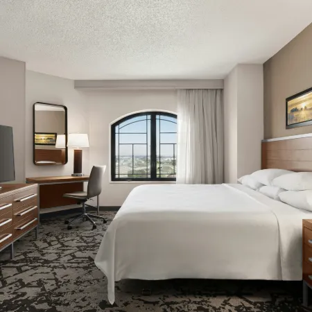 Embassy Suites by Hilton Grapevine DFW Airport North