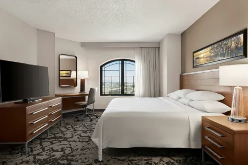 Embassy Suites by Hilton Grapevine DFW Airport North - Gym