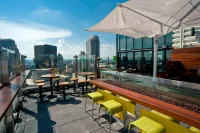 Hilton St. Louis at The Ballpark - bar