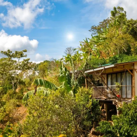 Casa Tien
