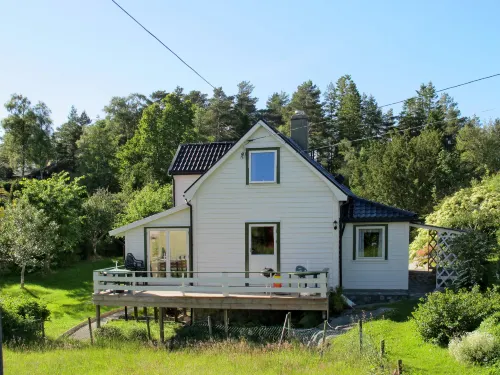 Bjørkeneset - Pet friendly