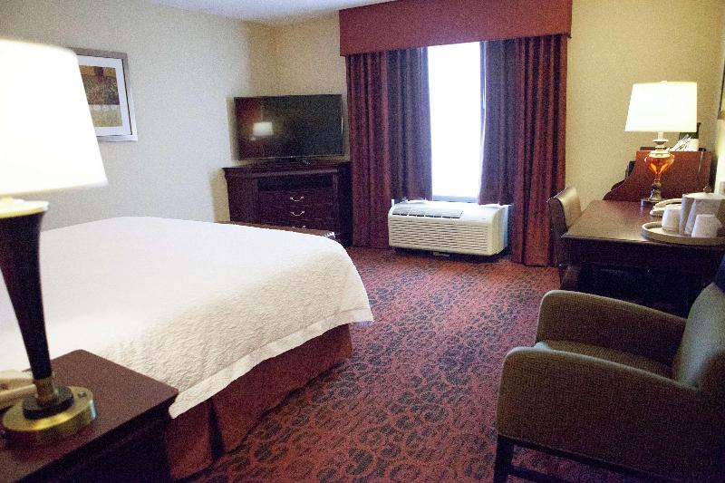 Hampton Inn Rochester-Webster