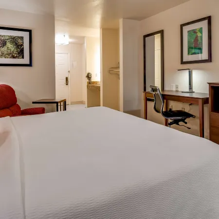Best Western Pineywoods Inn Hotels in Cass County