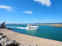 El Colibri II