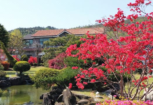 한옥스테이 정원 풍경