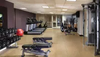 希爾頓亞歷山德里亞古城酒店 - 健身室/gym room
