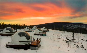 Borealis Basecamp