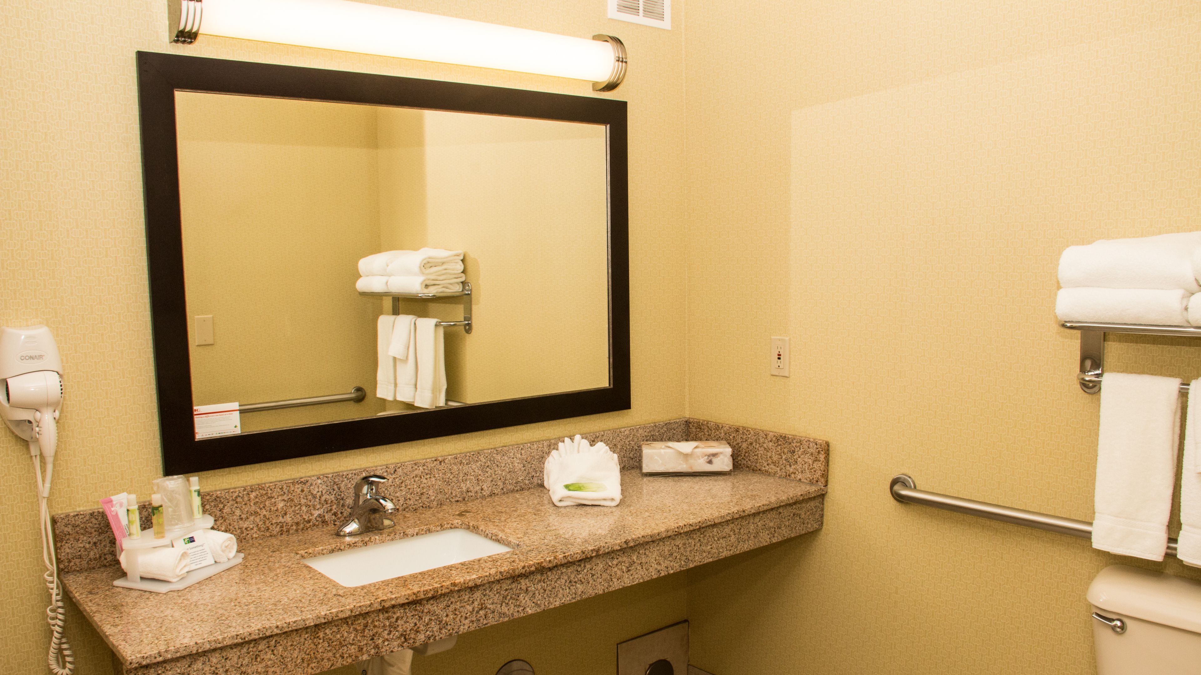 Holiday Inn Express Hotel & Suites Saginaw, an Ihg Hotel