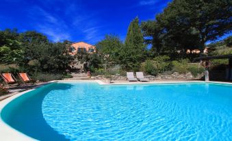 Hot Springs Area Tuscany Luxury Villa/Pool/ Private Gardens