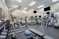 Holiday Inn LOS ANGELES - LAX AIRPORT by IHG - gimnasio