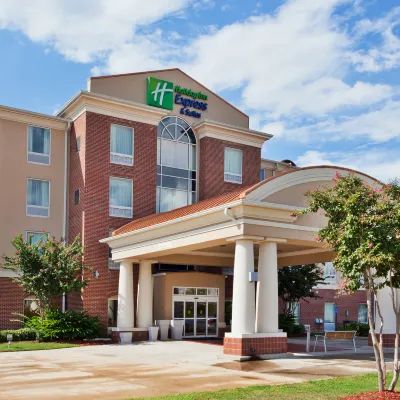 Holiday Inn Express & Suites BATON ROUGE EAST by IHG Hotels near Sharp Road Park