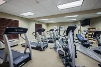 傑克遜 - 弗洛伍德智選假日套房酒店 - 健身室/gym room