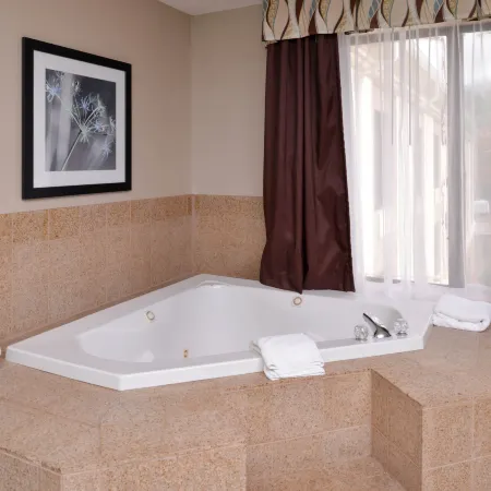 Holiday Inn Express & Suites YOUNGSTOWN (N. LIMA/BOARDMAN) by IHG
