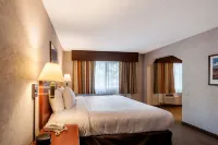 SureStay Hotel by Best Western SeaTac Airport North Hoteles en SeaTac
