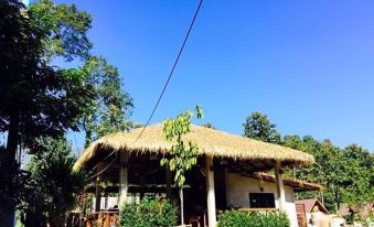 Chiang Dao Hut