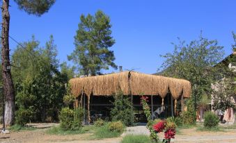 Fark Edenler Camping&Caravan&Bungalows