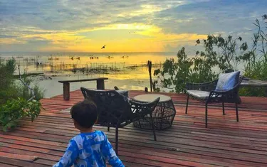 รูปภาพของชานไม้ชายเล