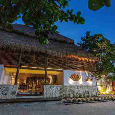 Lotus Beach Hotel - Adults Only Hotel Exterior