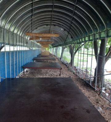 아리솔 펜션 전경