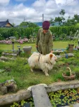 Andong Geumseo Sanbang Pension