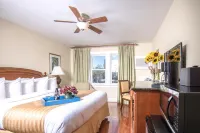 Hollander Hotel - Downtown St. Petersburg Các khách sạn ở Saint Petersburg