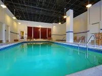 Sheraton Duluth Hotel - مسبح