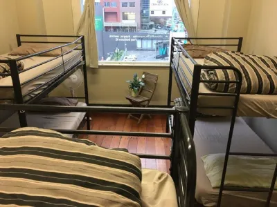 Surf 'N' Snow Backpackers Hotels in Flat Bush