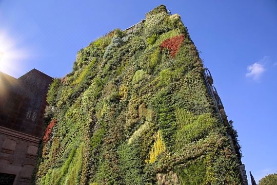 4. 옥시겐 호스텔..