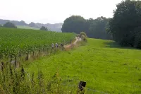 B&B Oa6 Casa Hotels in Diekirch