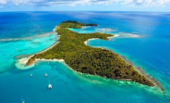 a bird 's eye view of a tropical island with clear blue water and green vegetation at Residences at Nonsuch Bay Antigua