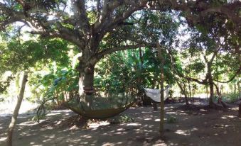 Eco-Camping Mango Feliz Rincon del Mar