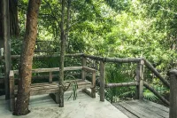 ร็อค จังเกิล ตูลุม