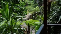 Maniva Particael Resort Hotell i Temas