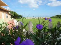 Ocean Front Paradise Resort Hotels in Indialantic