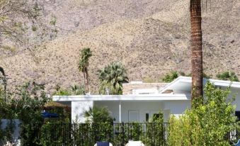 Holiday House Palm Springs