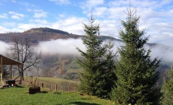 Kings Valley Retreat Apuseni Mountains