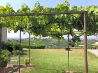 Agriturismo la Casa in Collina
