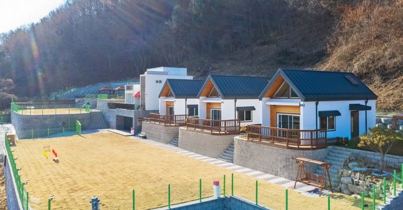 양평 편안하개애견펜션