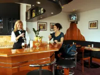 Tagungshotel Bristol Mainz by Trip Inn - Bar