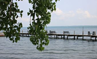a wooden pier extending into a body of water , with two chairs placed along the edge of the pier at Plum Point Lodge