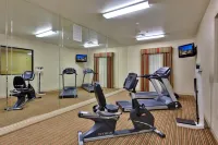 Holiday Inn Express & Suites BEAUMONT - OAK VALLEY by IHG - Gym