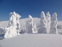 ホテルフッシュ 北秋田のホテル