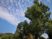 Kowloon Lake Tung Hing Ecological Farm 구룡위안 관광지구 주변 호텔