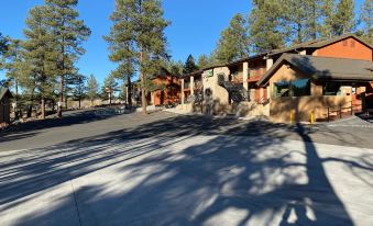 Motel in the Pines