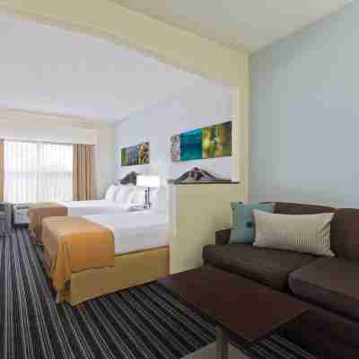 Holiday Inn Express & Suites Clearwater North/Dunedin Rooms