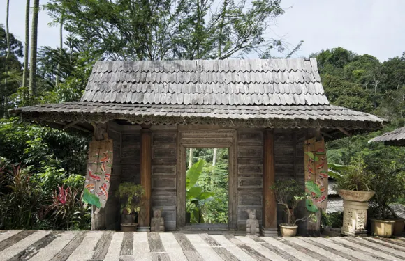 無花果樹山度假村