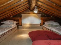 Hopukka a2 - Pet friendly