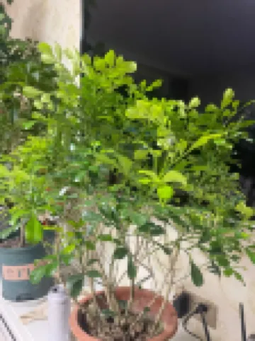 Minxiuzhijia Apartment (Kuangshan Street) Hotels in 